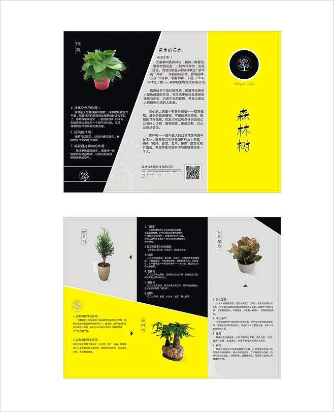 彩頁海報